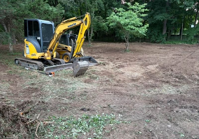 Excavation