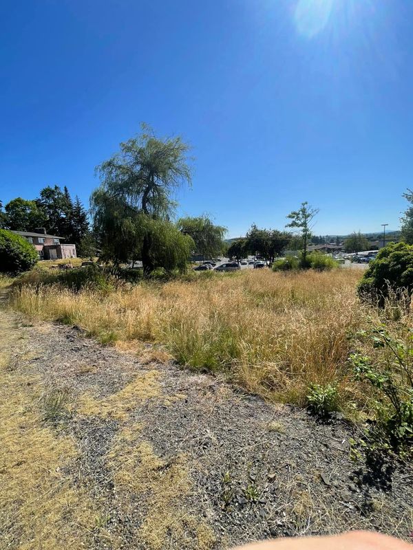 Land Clearing
