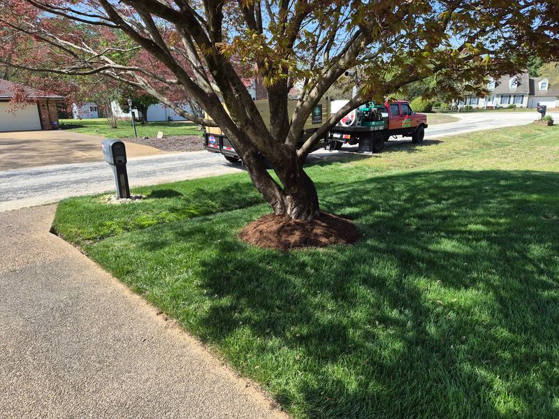 Landscaping 