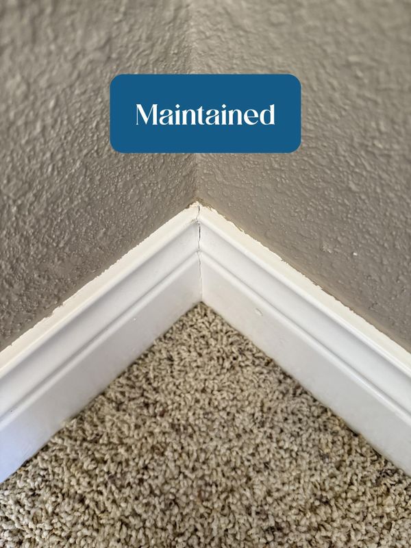 Top to Bottom Deep Clean