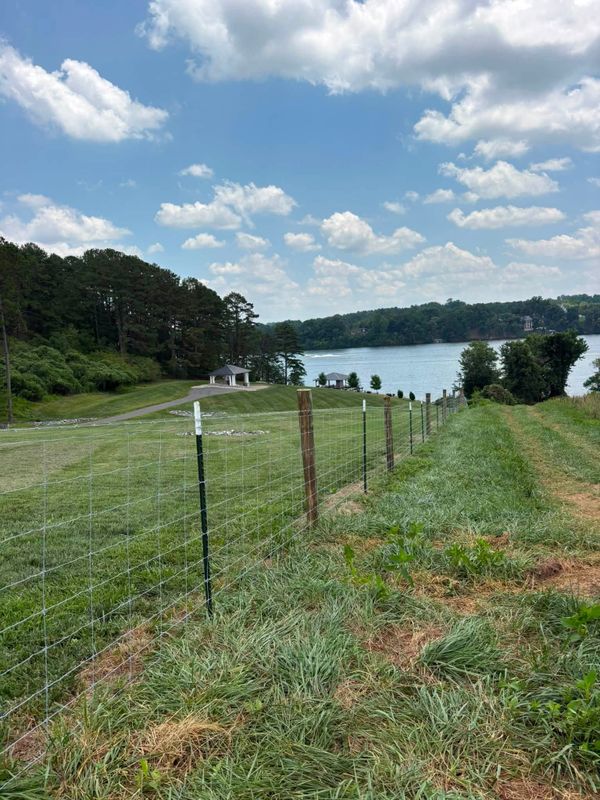 Agricultural Fence