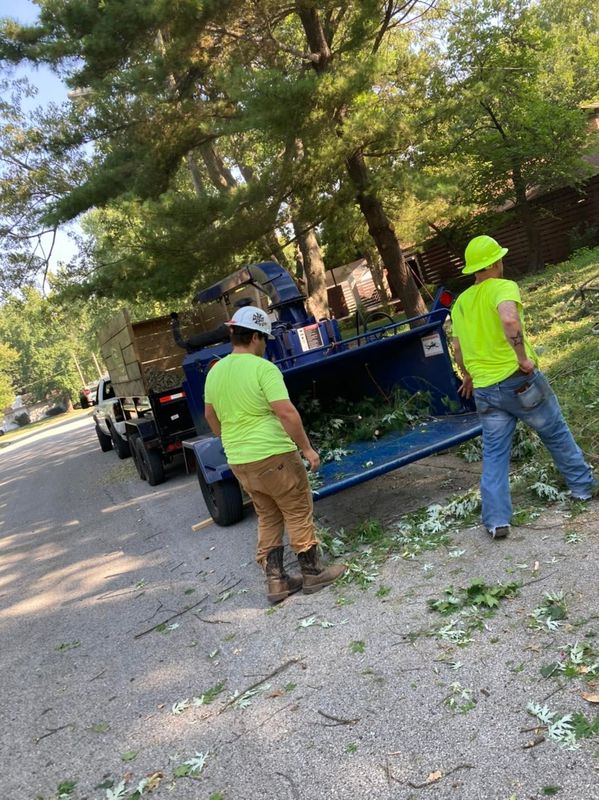 Mowing and Tree Services