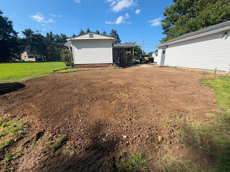 Stump Removal