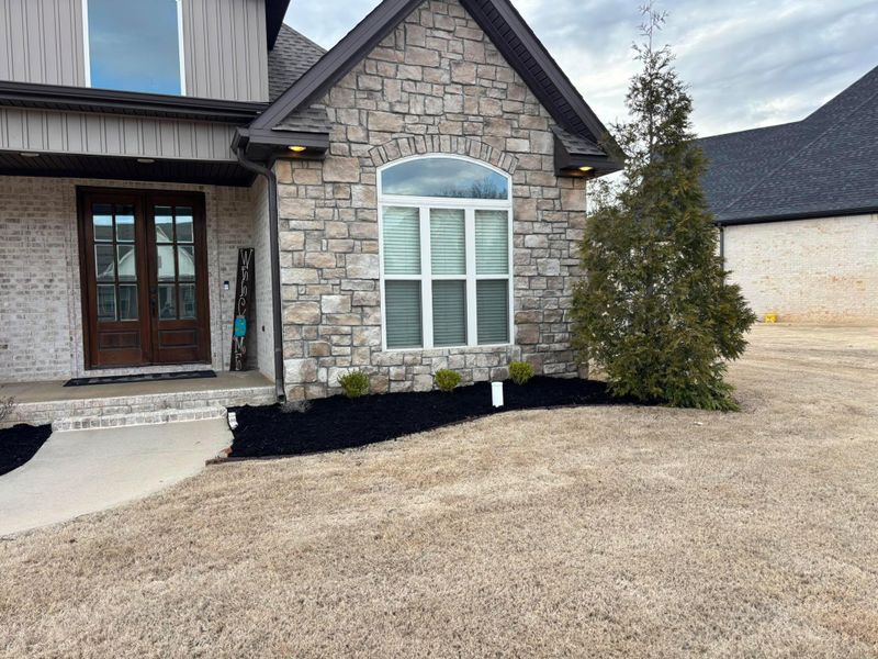 Landscape And Design