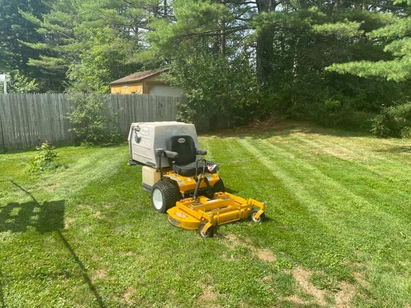 Lawn Mowing and Maintenance