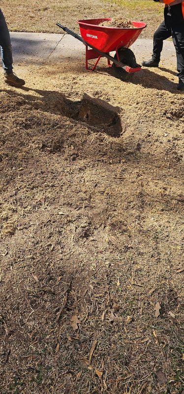 Stump Removal