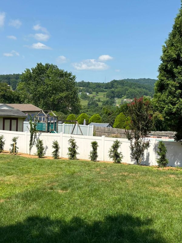 Lawn Care & Maintenance