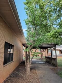 Revitalizing Pathways: Land Legends Landscapes' Stunning Tree Pruning Transformation