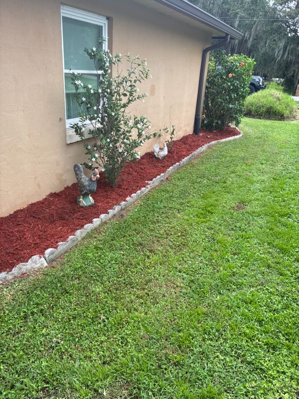 Garden Designs