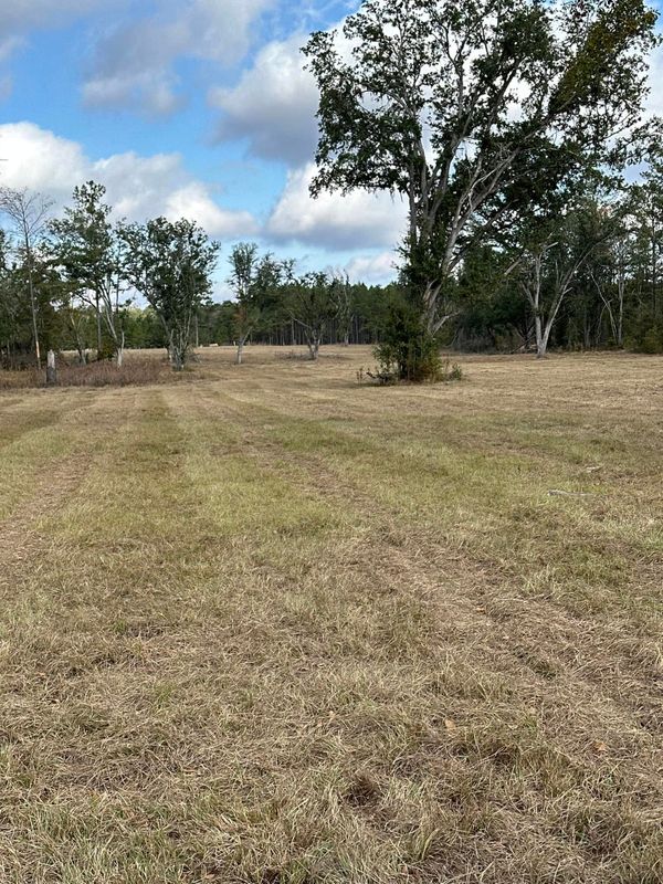 Land Clearing and Development