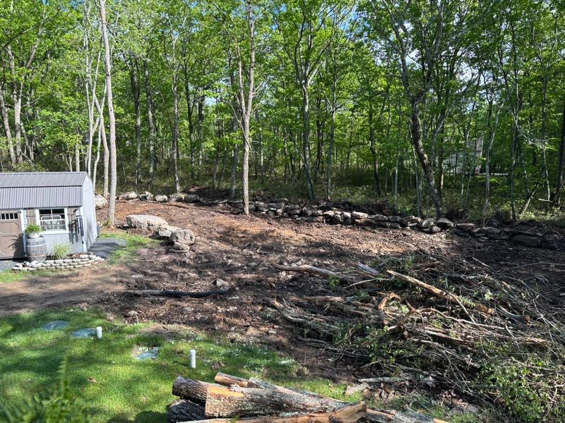 Forestry Mulching