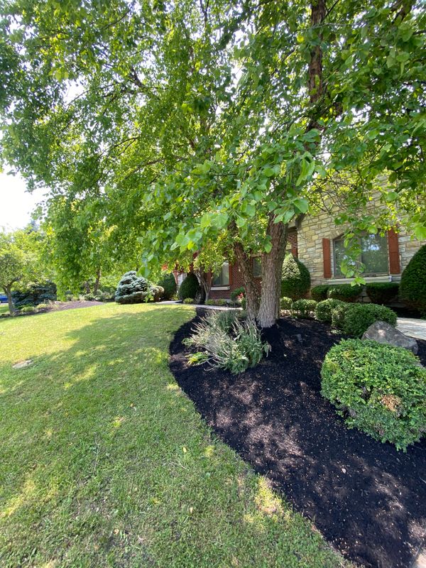 Mulching