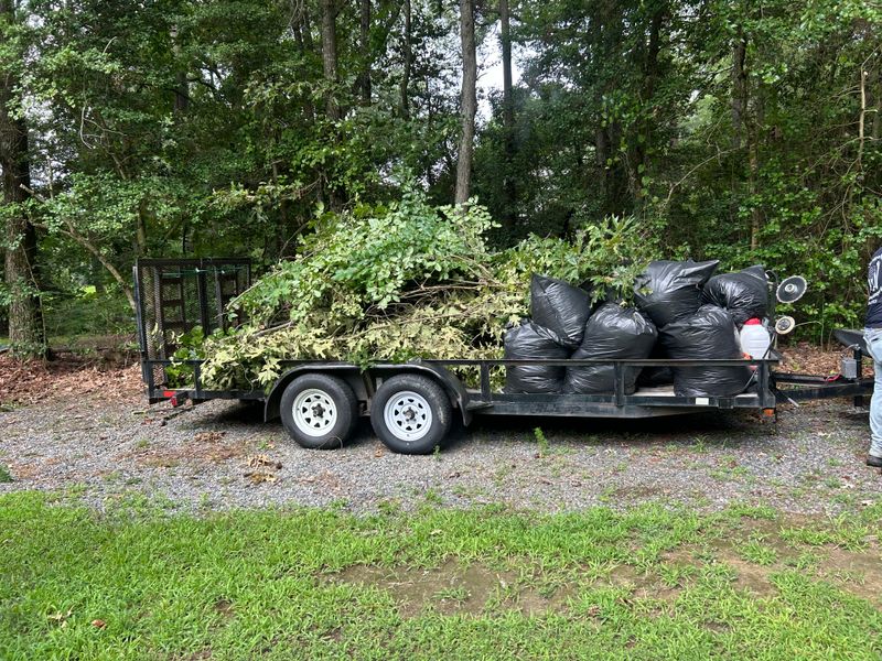 Spring & Fall Cleanup