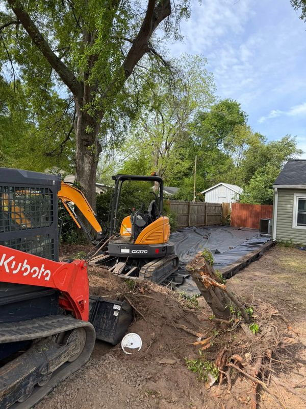 Tree & Shrub Care