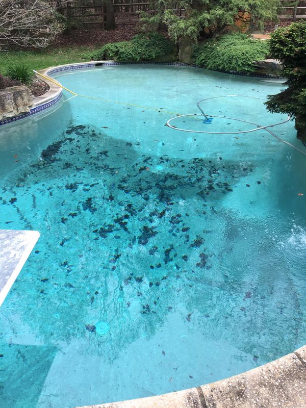 Pool Cleaning and Maintenance