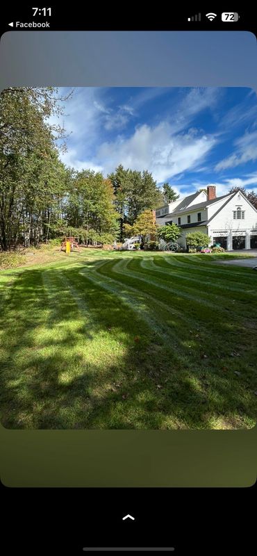 Lawn Maintenance