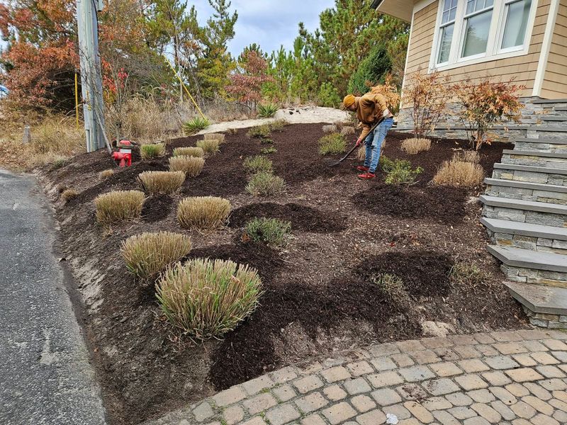 Lawn Maintenance