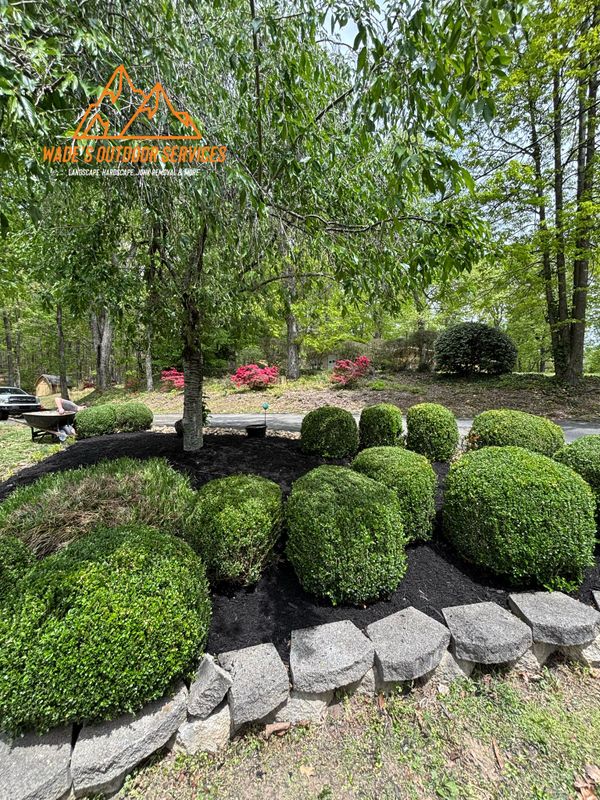 Plant & Shrub Installations