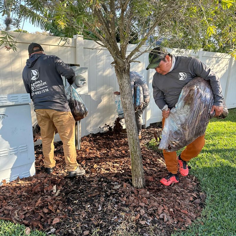 Landscape Maintenance