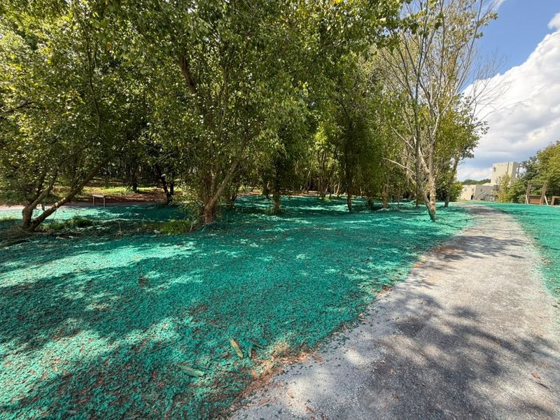 Hydroseeding gallery
