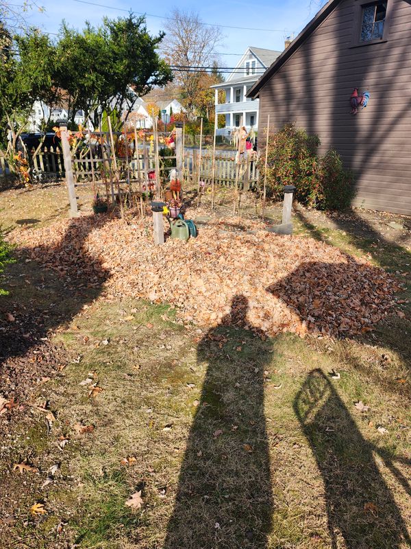 Fall Cleanups