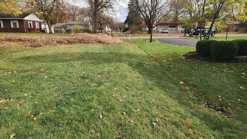 Landscaping