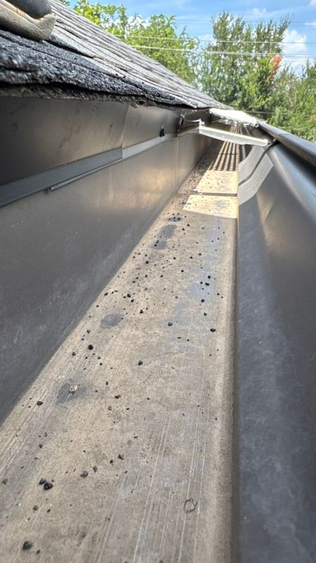 Gutter Cleaning
