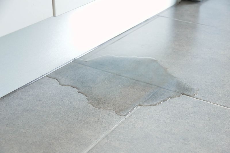 Slab Leaks