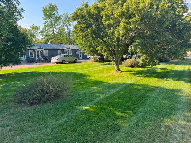 Lawn Maintenance