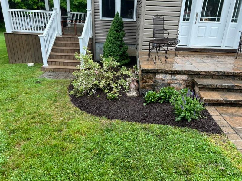 Lawn Care