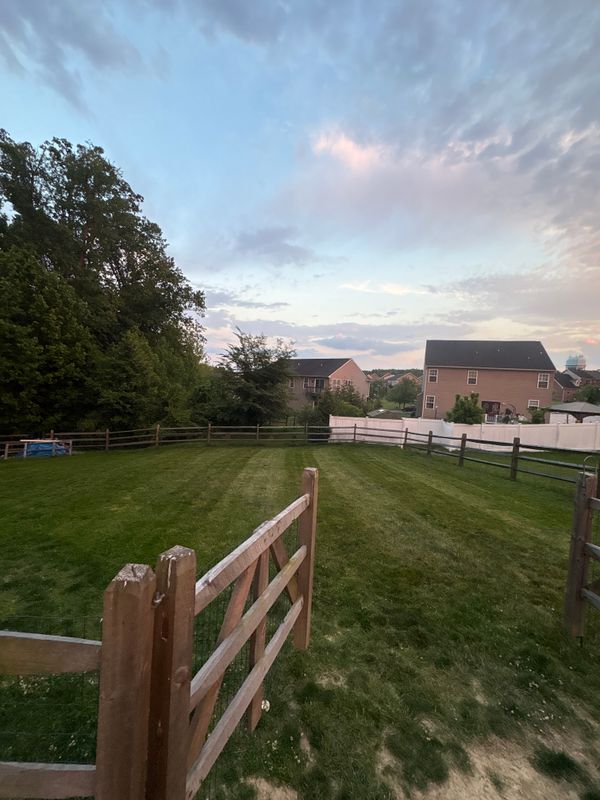 Lawn Maintenance