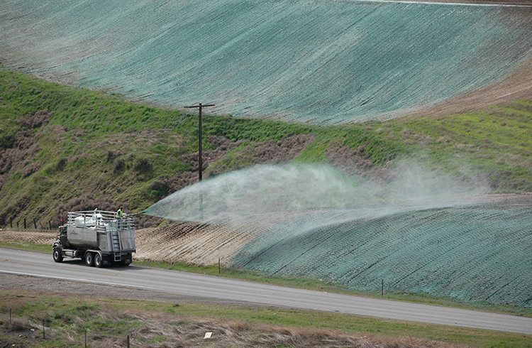 Commercial Hydroseeding