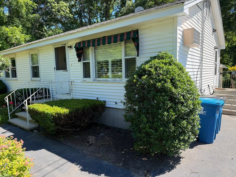 Tree & Shrub Care