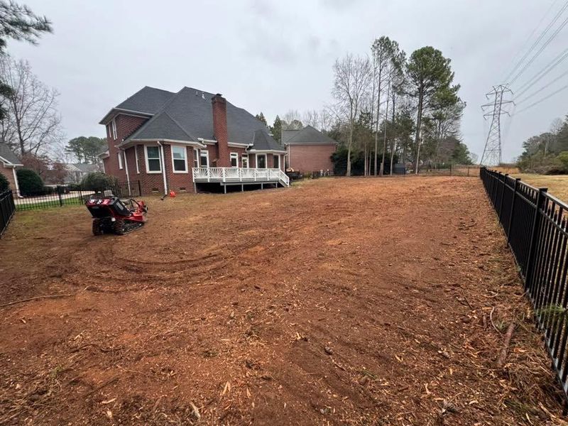 Stump Removal