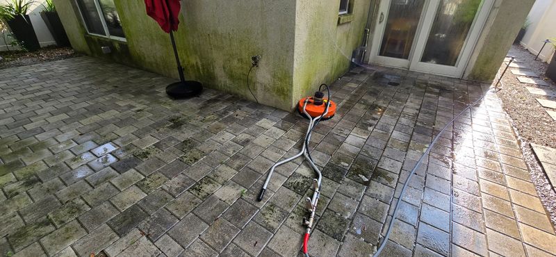Revitalizing Temple Terrace: Exceptional Paver Pressure Washing by Blue Stream Roof Cleaning & Pressure Washing