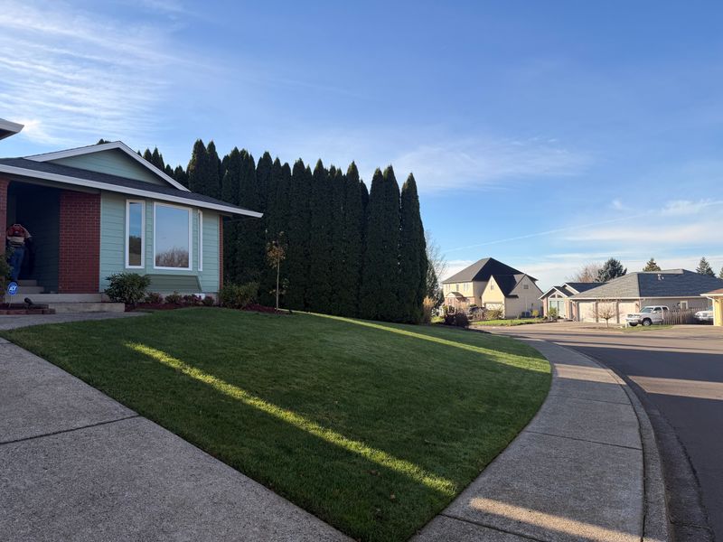 Lawn Aeration