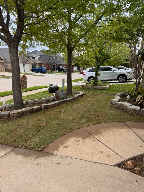 Sod Installation