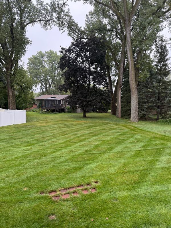 Lawn Mowing