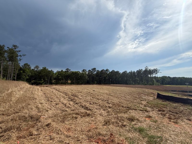 Erosion Control