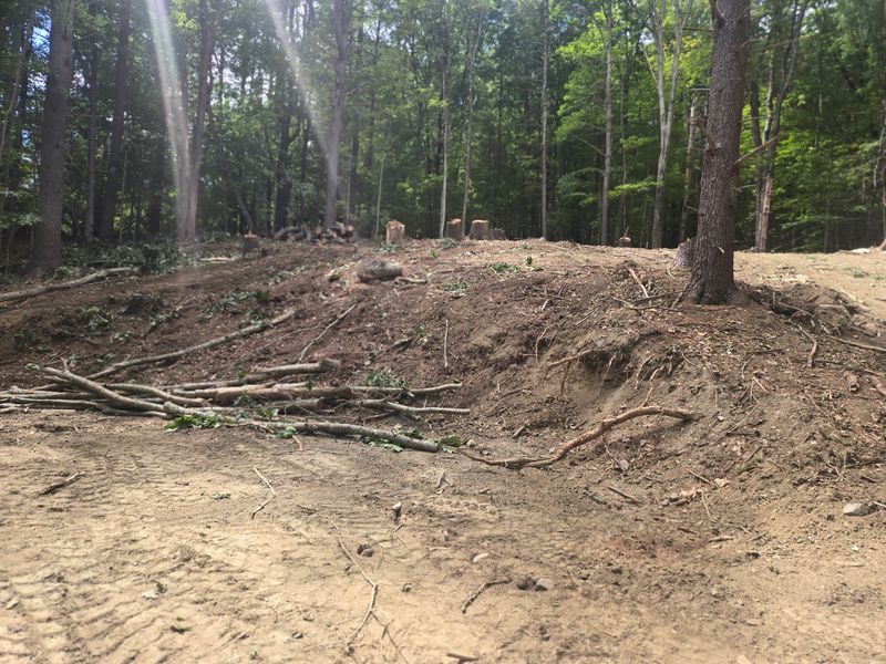 Land Clearing