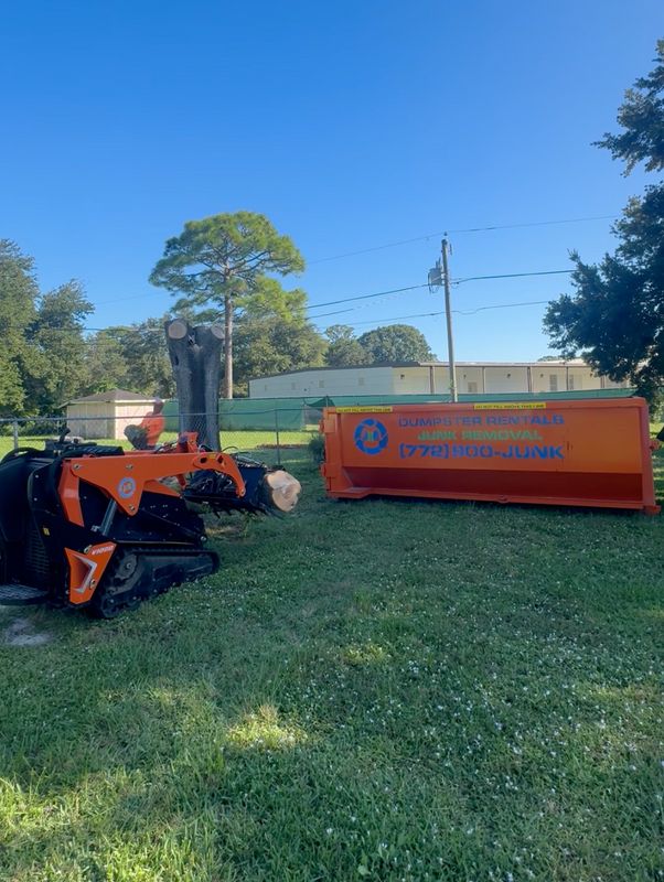 Tree Removal & Trunk Cleanup in Melbourne, FL