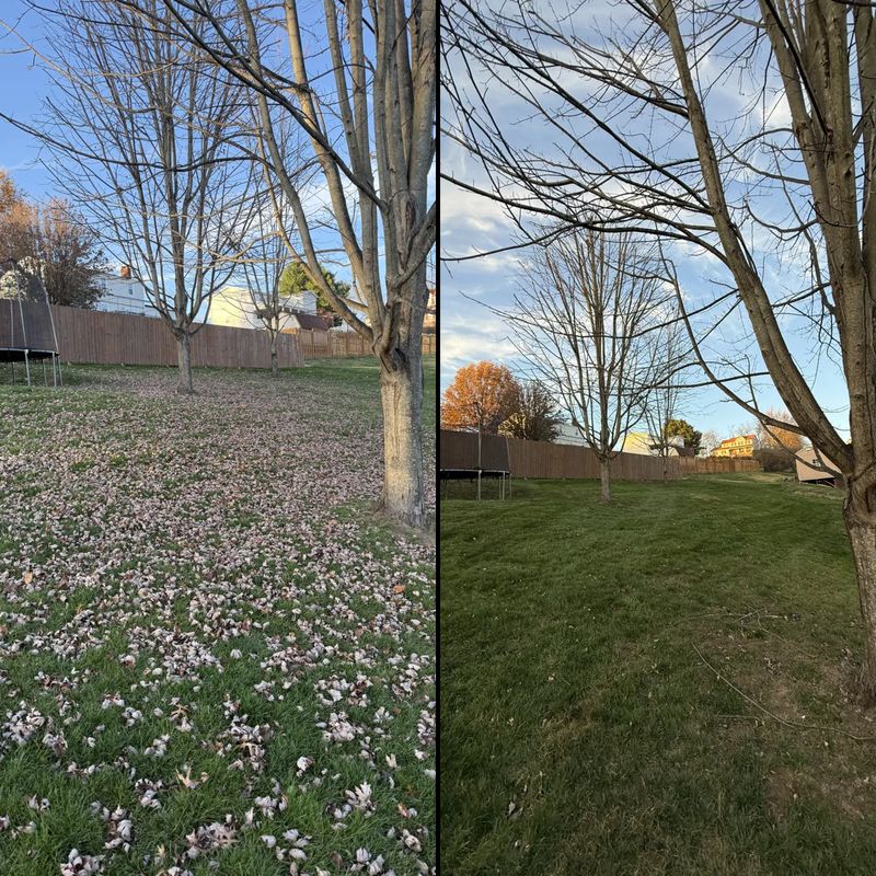Mowing