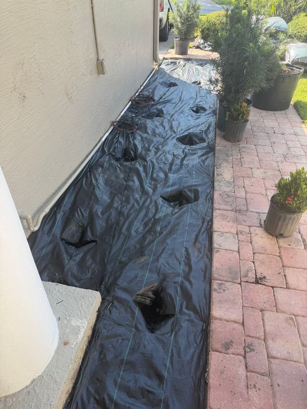 Landscape Design