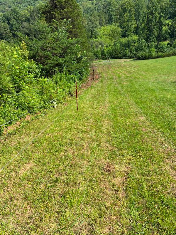 Fencing