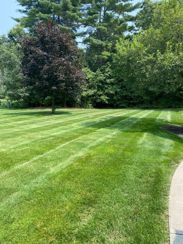 Mowing