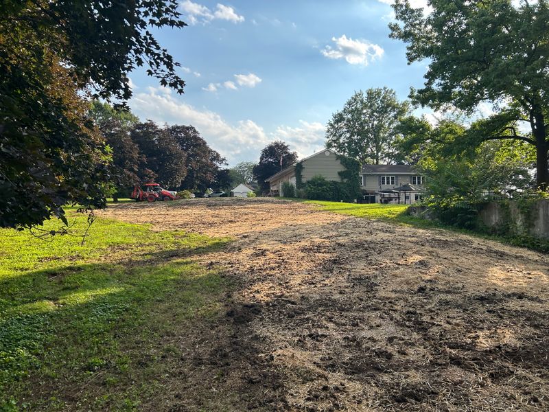 Land Clearing