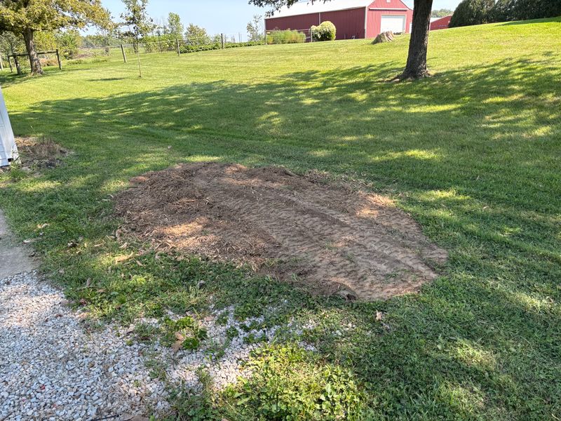 Stump Removal