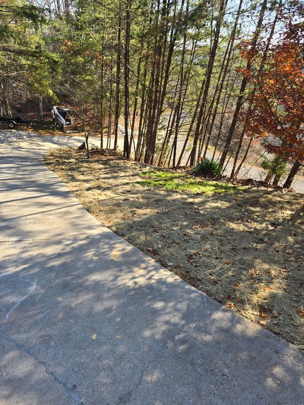 Driveway Construction