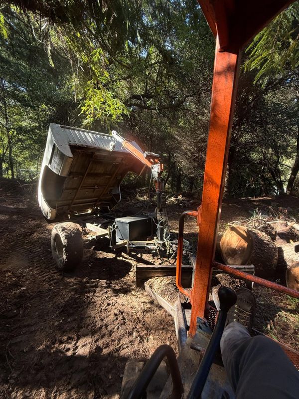 Stump Removal