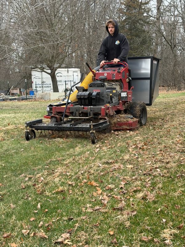 Dethatching
